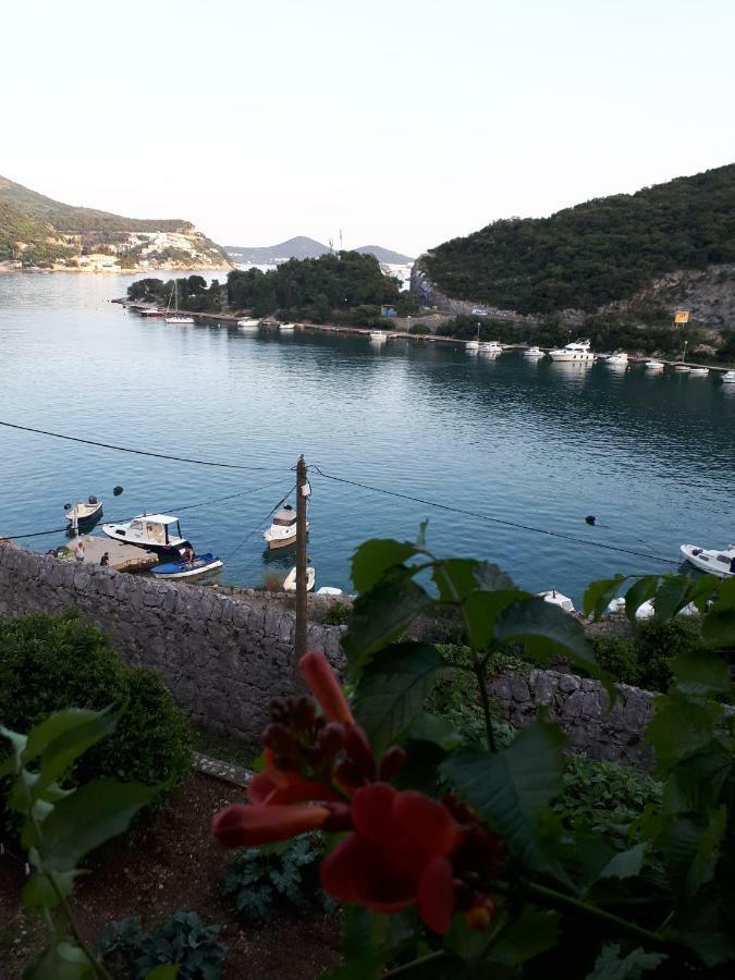 Vesna - Your Best Choice - 80 M From Beach Zaton  Exteriör bild