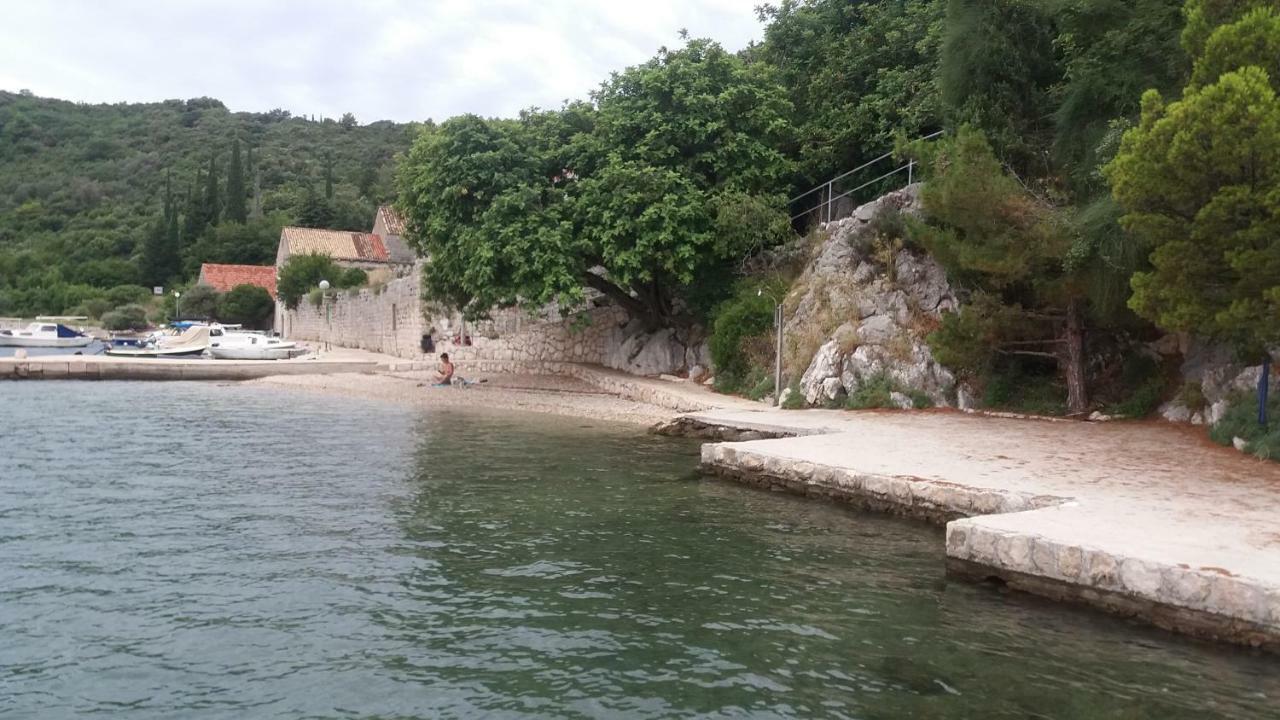 Vesna - Your Best Choice - 80 M From Beach Zaton  Exteriör bild