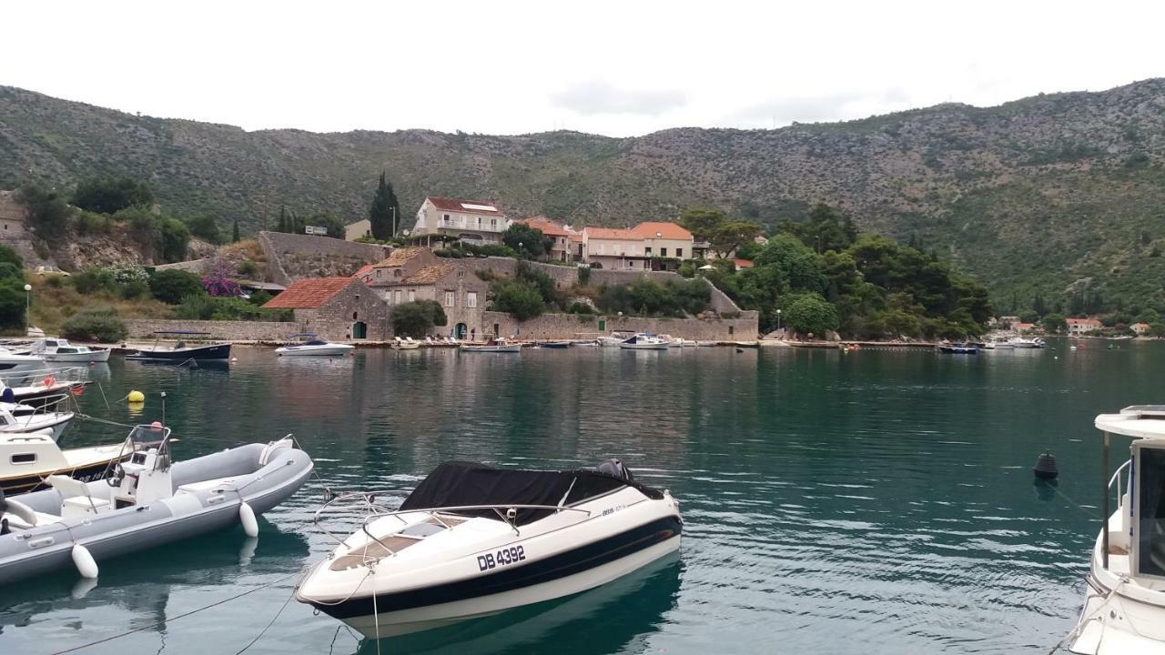 Vesna - Your Best Choice - 80 M From Beach Zaton  Exteriör bild